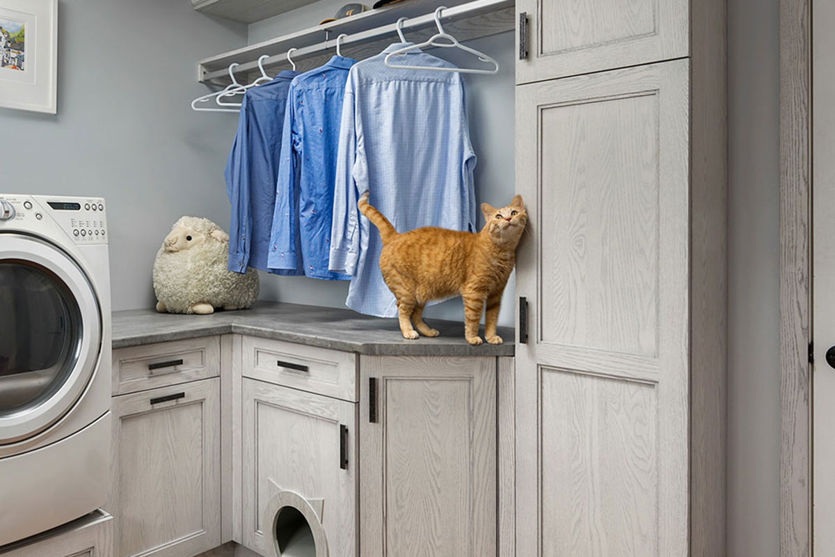 A laundry room with gray cabinets. An orange cat stands on the counter top. There's a washing machine to the left, and various colours of blue shirts hang on a clothes bar above the counter.