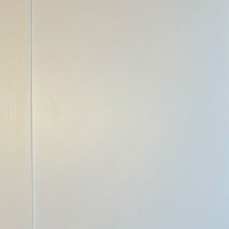 Section of a white painted fibreboard door panel